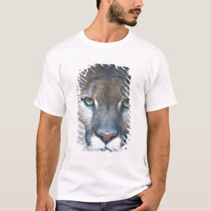 Camiseta Cougar, león de montaña, pantera de Florida, Puma