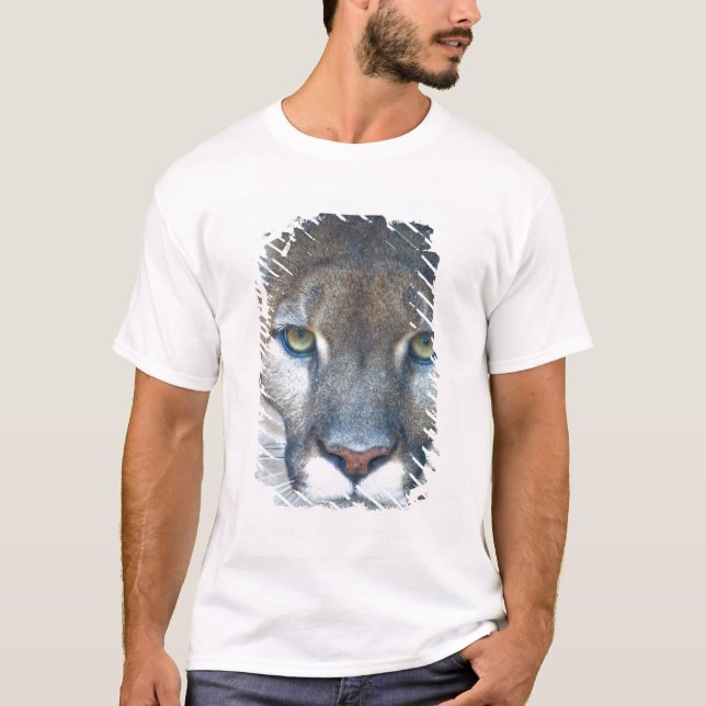 Camiseta Cougar, león de montaña, pantera de Florida, Puma (Anverso)