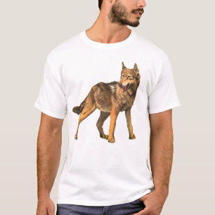 Camiseta coyote
