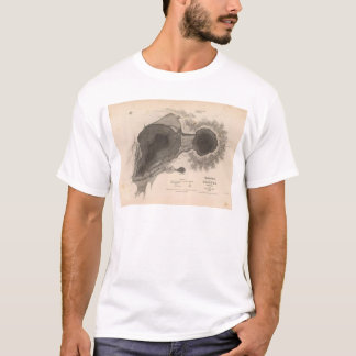 Camiseta Cráter de Kilauea, Hawaii