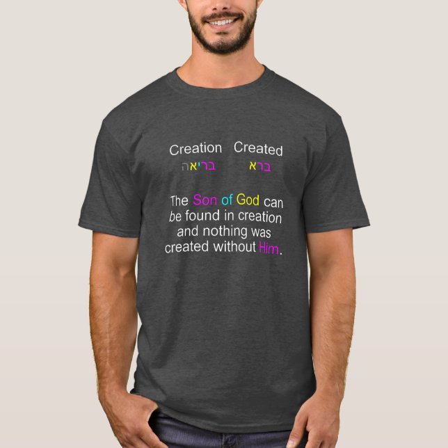 Camiseta Creación (gris) (Anverso)