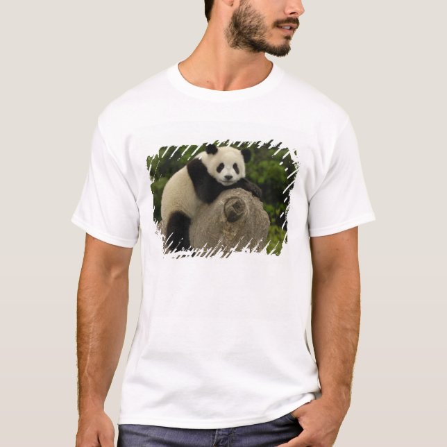 Camiseta cría de panda gigante (Anverso)