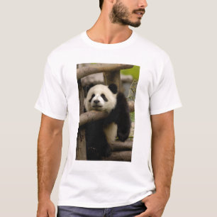 Camiseta Cría de panda gigante (Ailuropoda melanoleuca)