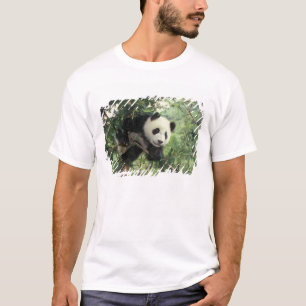 Camiseta cría de panda gigante trepa a un árbol, Valle de W