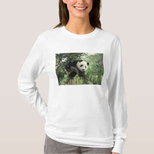 Camiseta Cría de panda gigante trepa a un árbol, Valle de W