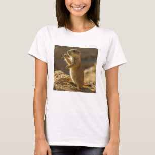 Camiseta Cría de perro de pradera comiendo, Arizona