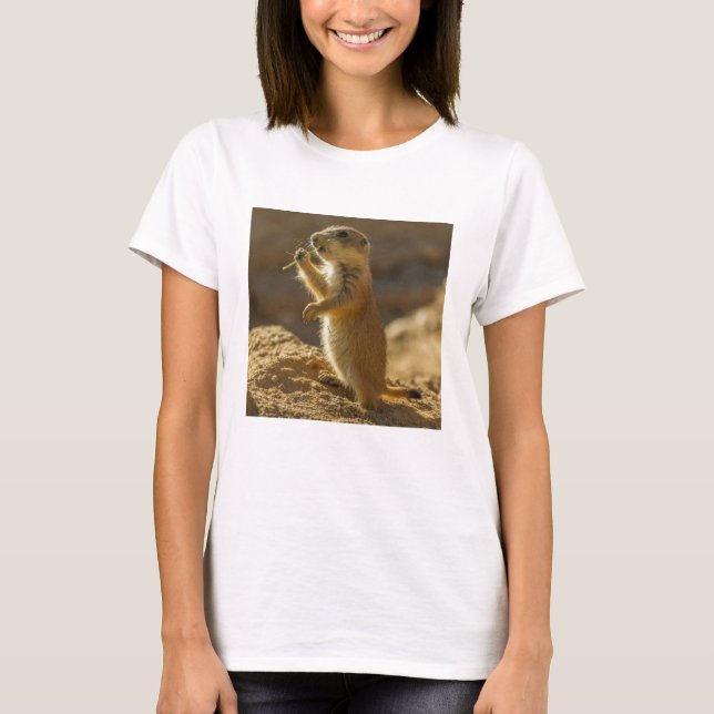 Camiseta Cría de perro de pradera comiendo, Arizona (Anverso)