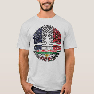 Camiseta Criado en Francia, raíces iraníes – León y Sol