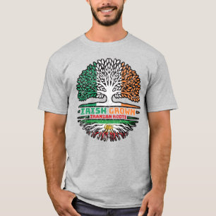 Camiseta Criado en Irlanda, raíces iraníes – León y Sol
