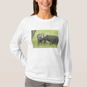 Camiseta Crías de elefante indio / asiático