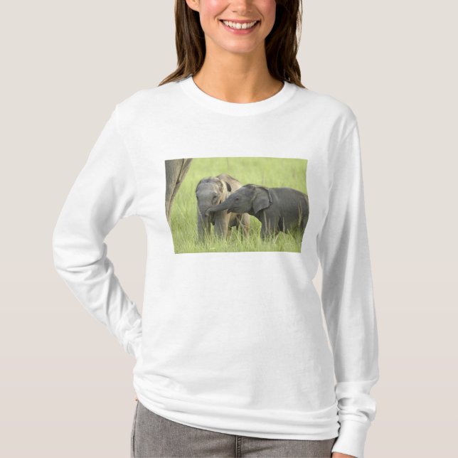 Camiseta Crías de elefante indio / asiático (Anverso)
