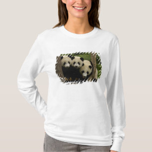 Camiseta crías de panda gigante Ailuropoda melanoleuca)