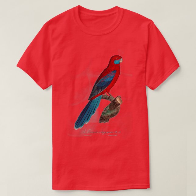 Camiseta crimson rosella (Diseño del anverso)