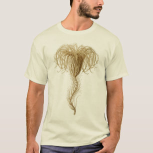 Camiseta Crinoids