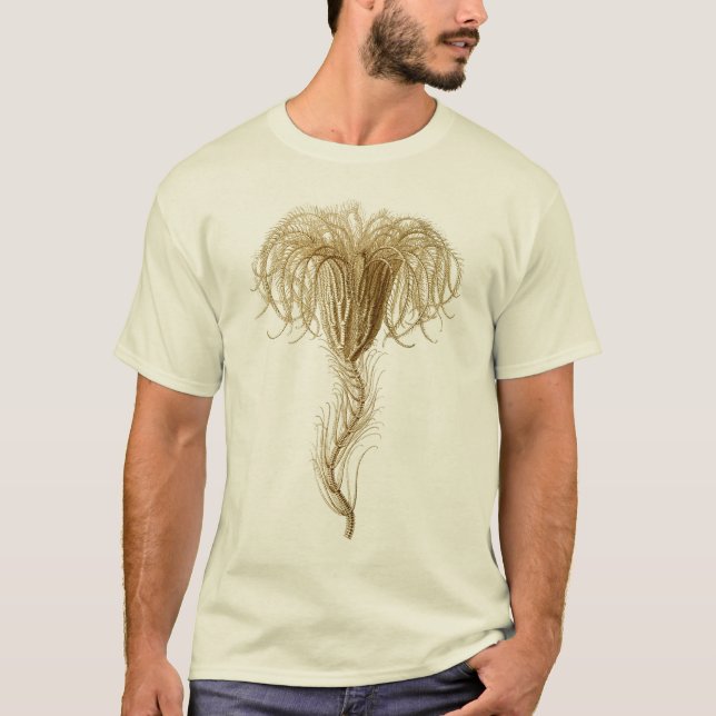 Camiseta Crinoids (Anverso)