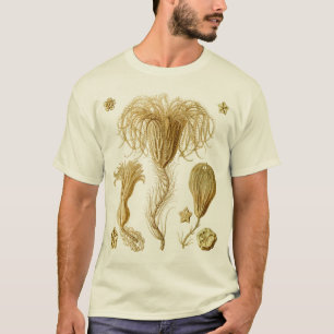 Camiseta Crinoids