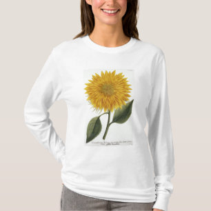 Camiseta Crisantemo Indicum de 'Pythanthoza Iconograph