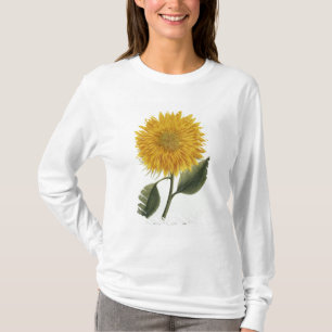 Camiseta Crisantemo Indicum de 'Pythanthoza Iconograph