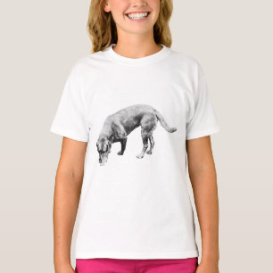 Camiseta Crisp Path Wanderer