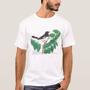 Camiseta Cristal Oriental-Robin