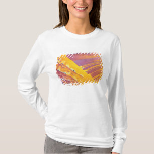 Camiseta Cristales del ácido oxálico