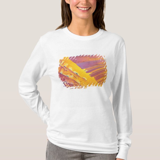 Camiseta Cristales del ácido oxálico (Anverso)