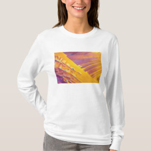 Camiseta Cristales del ácido oxálico
