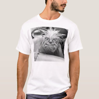 CAMISETA CRITTER MELENUDO