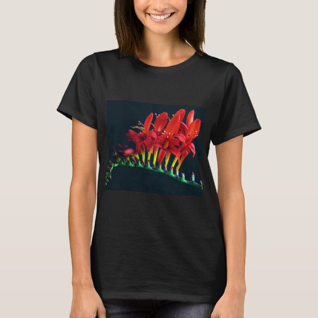 Camiseta Crocosomia Lucifer Montbretia Floral (Anverso)