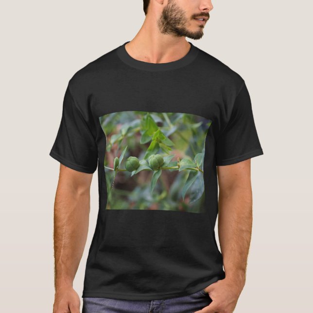 Camiseta Cross-Leaved Milkweed Nature Tee (Anverso)