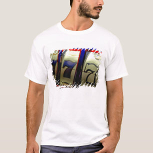 Camiseta Crucero por México. Princess Cruises Dawn Princess