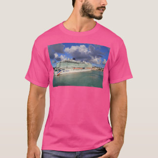 Camiseta Cruceros Po Arvia Acogidos En Antigua