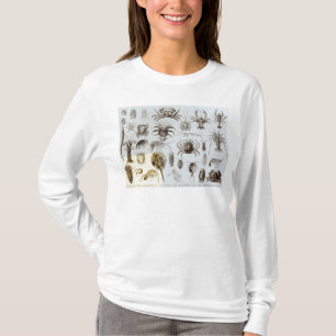 Camiseta Crustáceos y arácnidos