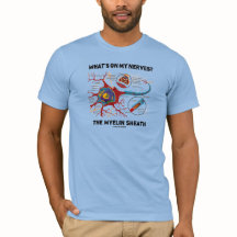 ¿Cuál está en mis nervios? La envoltura de Myelin