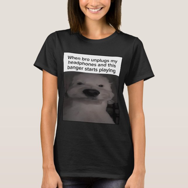 Camiseta Cuando el hermano desconecta mis auriculares y est (Anverso)