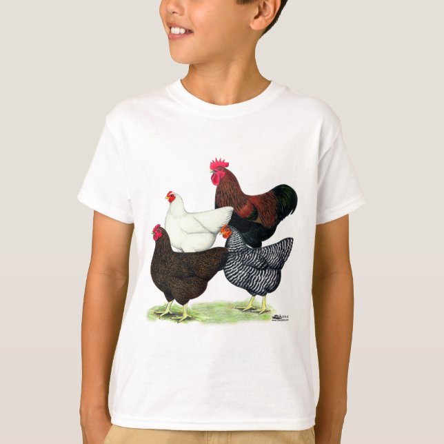 Camiseta Cuarteto de la Roca Plymouth (Anverso)