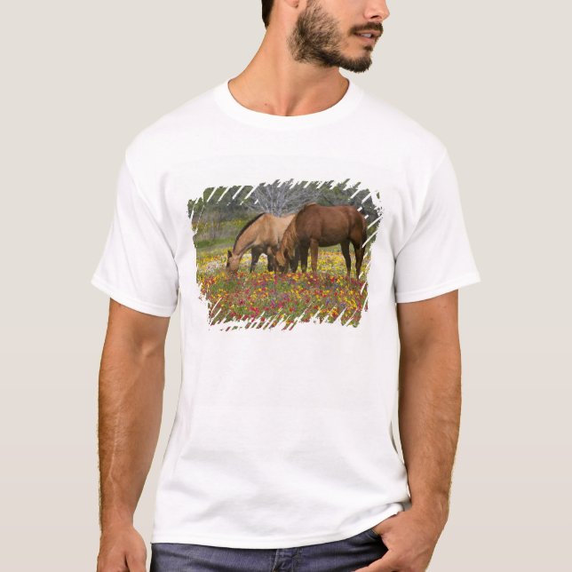 Camiseta Cuarto de caballo en el campo de las flores silves (Anverso)
