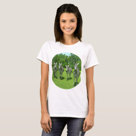 Camiseta Cuatro Cebras en Unidad de Prado