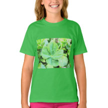 CUATRO COLOR DE HOJAS