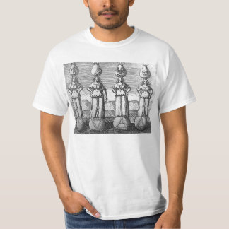 Camiseta Cuatro elementos de los 1624) SP de Viridarium