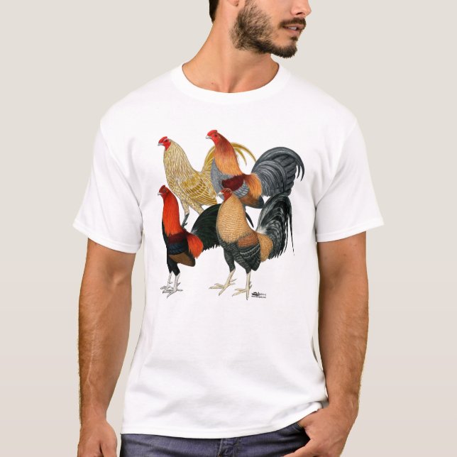 Camiseta Cuatro Gamecocks (Anverso)