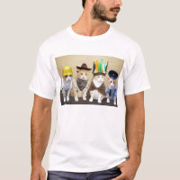Cuatro gatos divertidos
