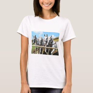 Camiseta Cuatro hermosos caballos animal