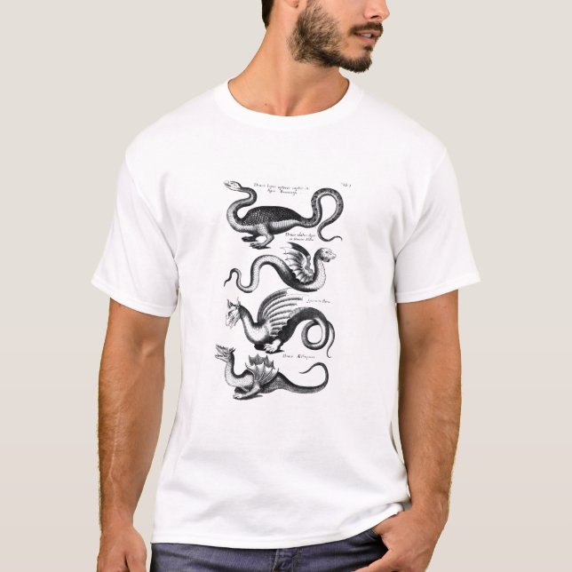 Camiseta Cuatro tipos de dragón (Anverso)