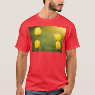 Camiseta cuatro tulipanes amarillos fondo de la naturaleza