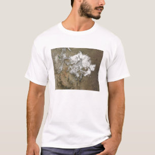 Camiseta Cubiertas de nieve las montañas rocosas en estado