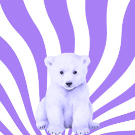 Camiseta Cubo de oso polar