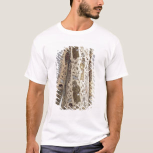 Camiseta Cubra, de Irán, Safavid, c.1600