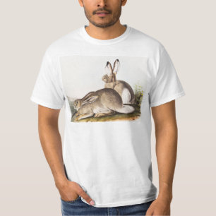 Camiseta Cuenca de la Montaña Rocosa de Townsend (Lepus Tow