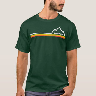Camiseta Cuenca de nieve Utah 1